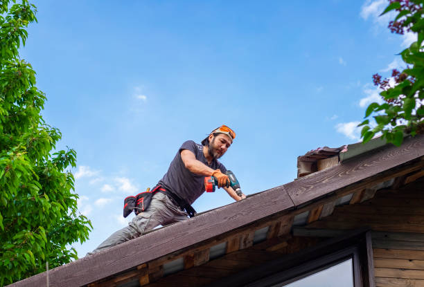 Best Storm Damage Roof Repair  in Mapleton, MN